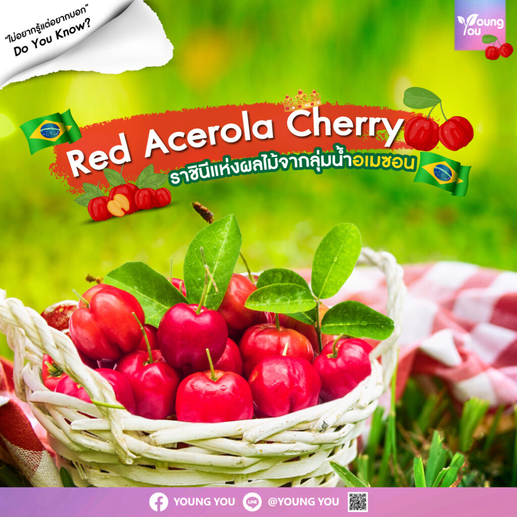 Red-Acerola-Cherry