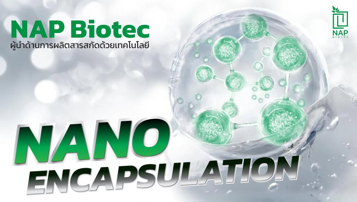 NAP Biotec ผู้นำด้านการผลิตสารสกัดด้วยเทคโนโลยี Nano Encapsulation